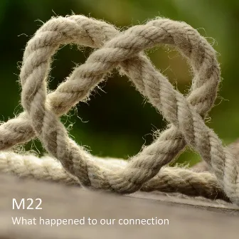 What Happened to Our Connection by M22