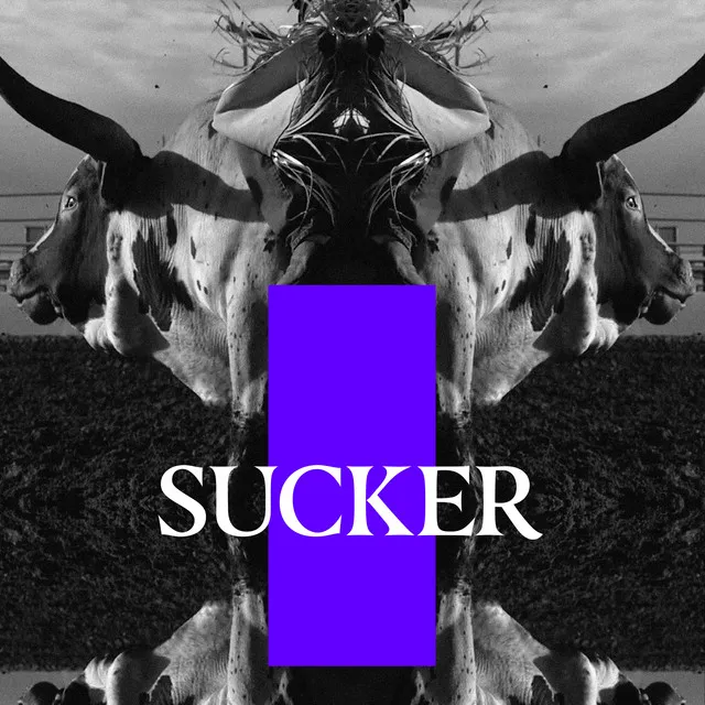 Sucker