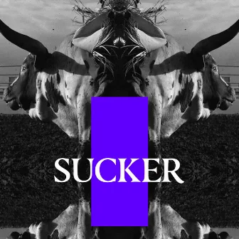 Sucker by Black Plastic