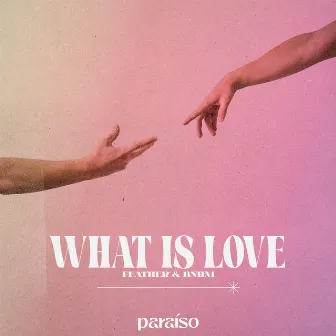 What Is Love by Feather