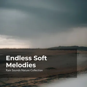 Endless Soft Melodies by Sleepy Rain