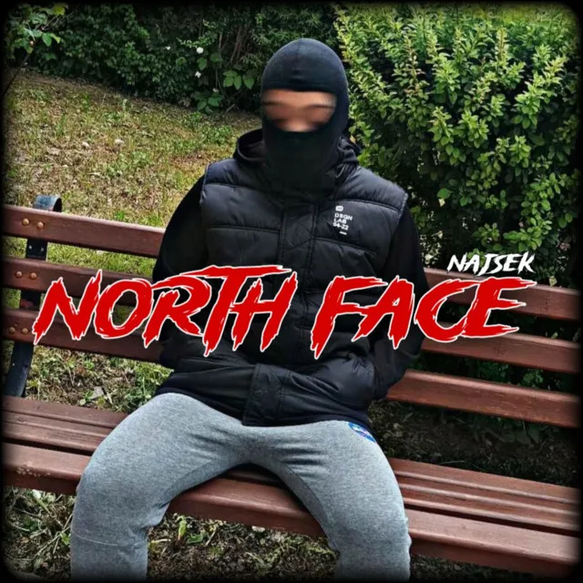 NORTH FACE