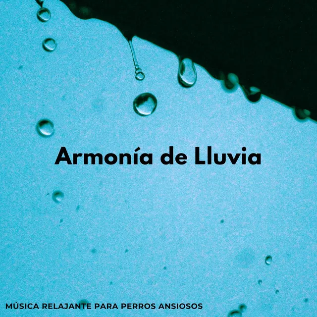 Armonía De Lluvia: Música Relajante Para Perros Ansiosos