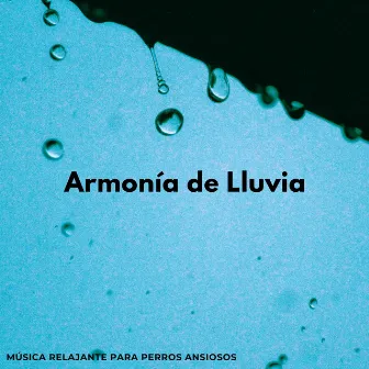 Armonía De Lluvia: Música Relajante Para Perros Ansiosos by Música de día lluvioso