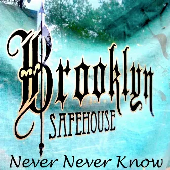 Never Never Know by Brooklyn SafeHouse