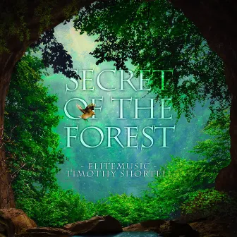 Secret of the Forest by Timothy Shortell