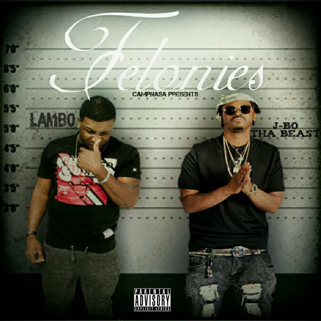 Felonies