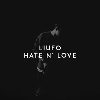 Hate n' Love by LIUFO