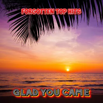 Glad You Came EDM, Summer Festival Cover by Hot Summer EDM