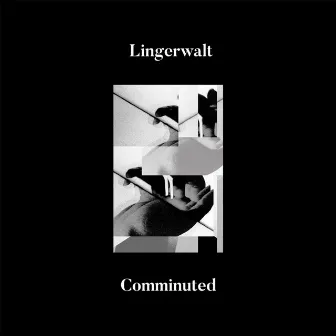 Comminuted by Lingerwalt