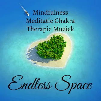 Endless Space - Mindfulness Meditatie Chakra Therapie Mentale Training Oefeningen Muziek met Instrumentale Binaural Beats Deltagolven Natuur Geluiden by Unknown Artist