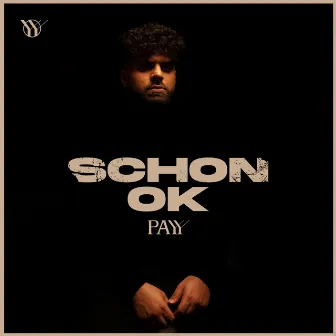 Schon ok by Payy