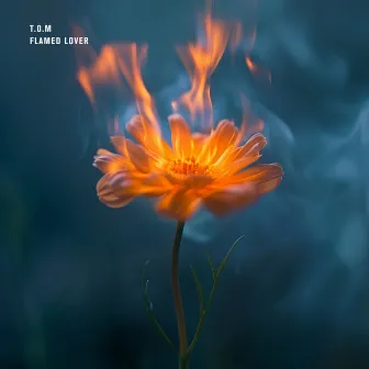 Flamed Lover by T.O.M