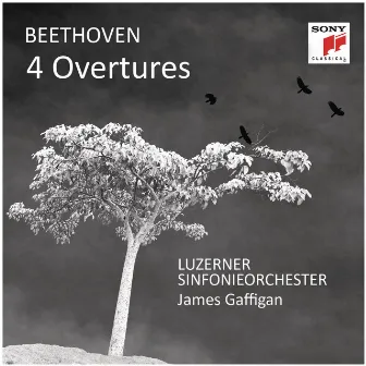 Beethoven: 4 Overtures by Luzerner Sinfonieorchester