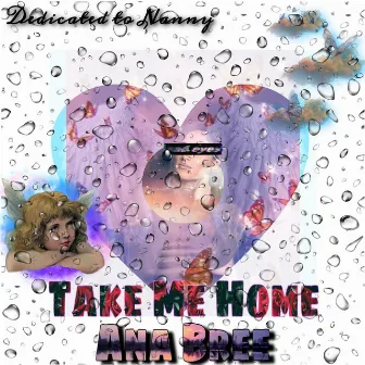 Take Me Home by Unknown Artist