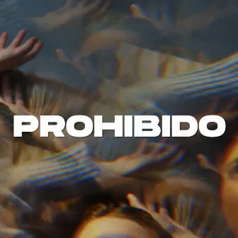 Prohibido by Kmilo Rey