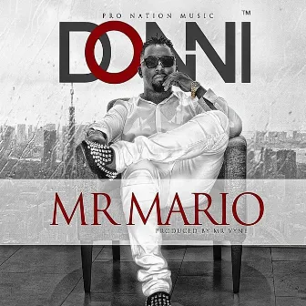 Mr. Mario by Donni