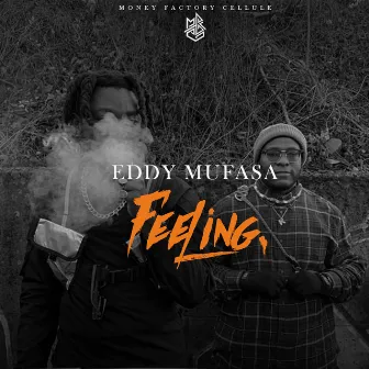 Feeling by Eddy Mufasa