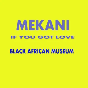 If You Got Love by Mekani