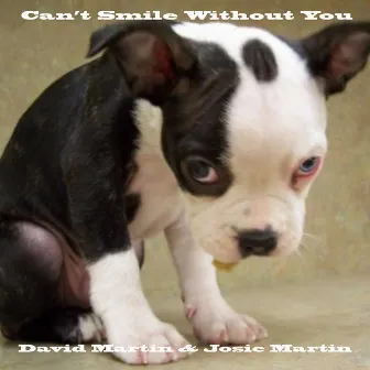 Can't Smile Without You by David Martin