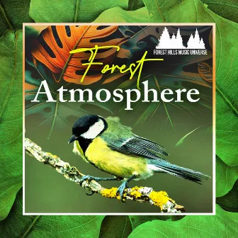 Forest Atmosphere by Forest Hills Music Universe