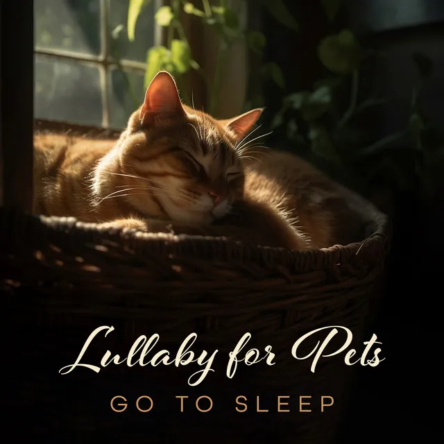 Lullaby for Pets: Go To Sleep, Heartwarming and Cute Music for Animals, For Sleeping and Stress Relief