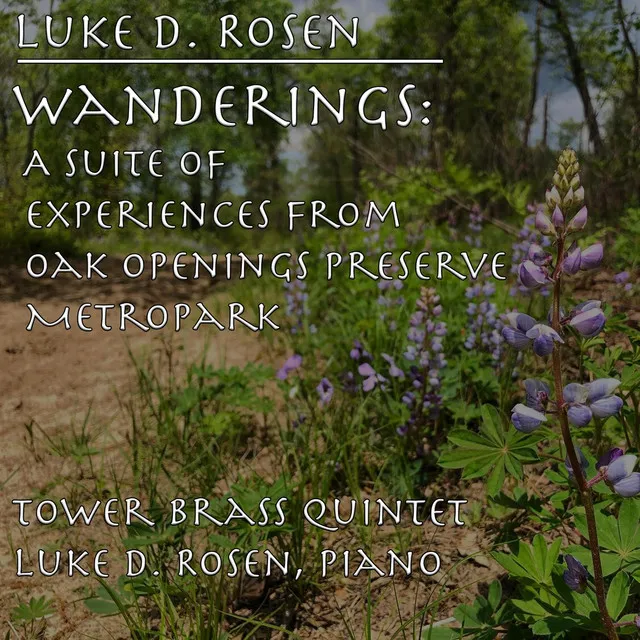 Wanderings: A Suite of Experiences from Oak Openings Preserve Metropark