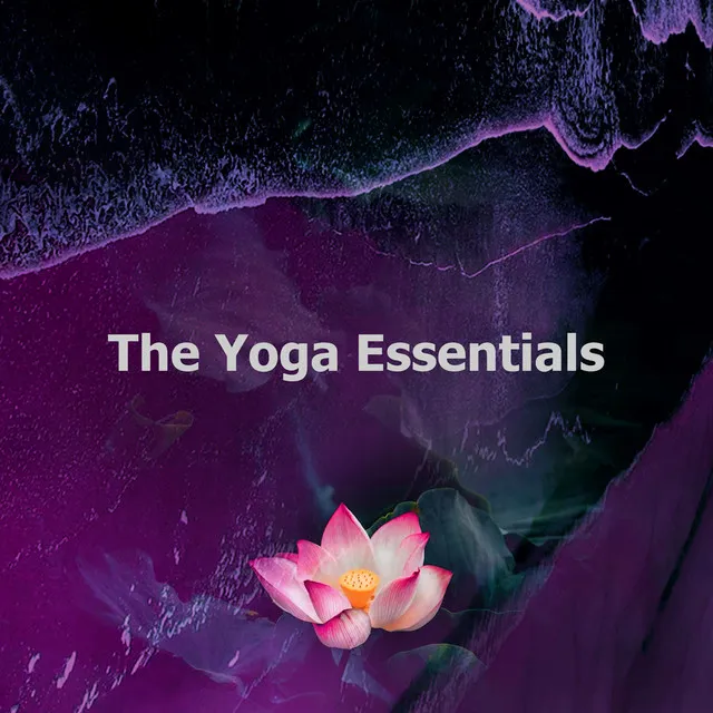 The Yoga Essentials