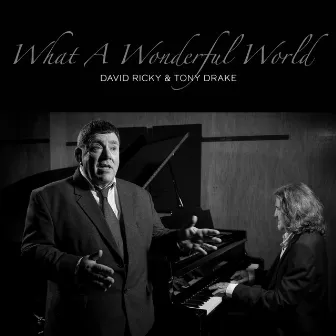 What a Wonderful World (Live) by Tony Drake