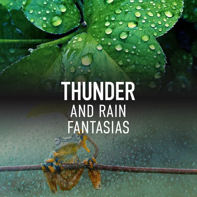 Thunder and Rain Fantasias