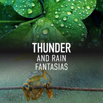 Thunder and Rain Fantasias by Thunderstorms