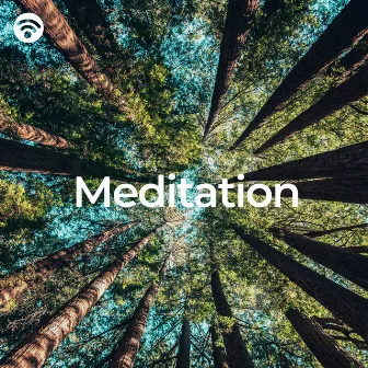 Meditation: Forest Sounds by Healing Yoga Meditation Music Consort / Mindfulness Meditation Universe