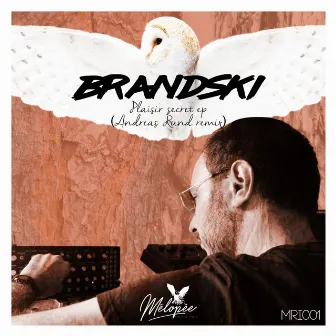 Plaisir Secret by Brandski