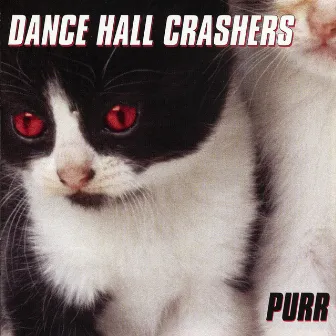 Purr by Dance Hall Crashers