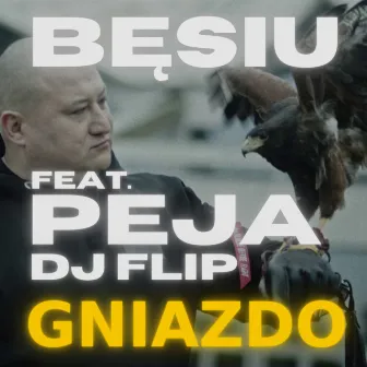 Gniazdo by DJ Flip