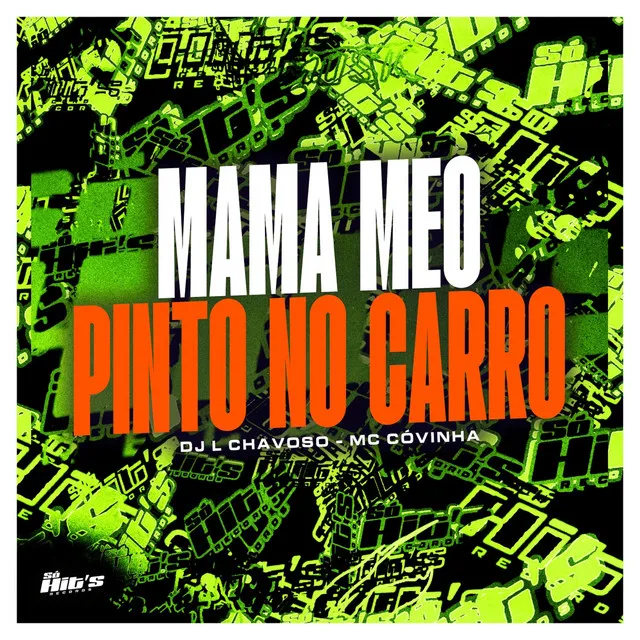 Mama Meo Pinto no Carro