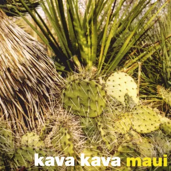 Maui by Kava Kava