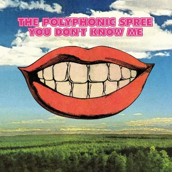 You Don't Know Me by The Polyphonic Spree