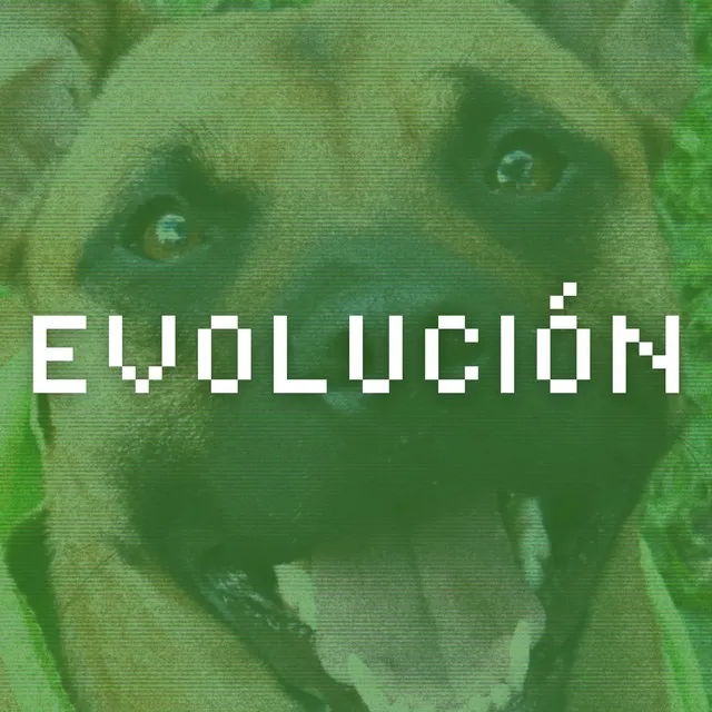 Evolución - Remix