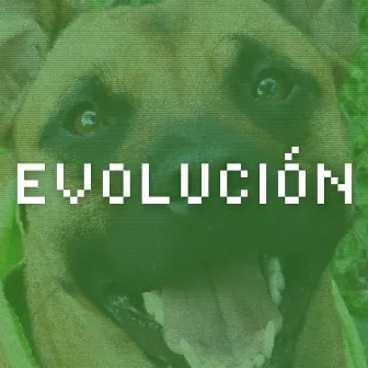 Evolución (Remix) by Pipo Backhero