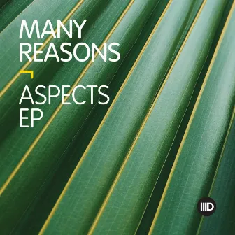 Aspects EP by Many Reasons