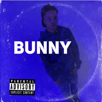 Bunny by Hollywood Mar