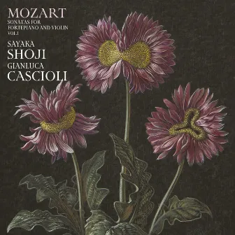 Mozart: Sonatas for Fortepiano and Violin Vol. 1 by Sayaka Shoji