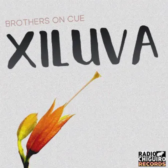 Xiluva by Brothers On Cue