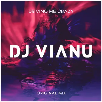 Driving Me Crazy by Dj Vianu