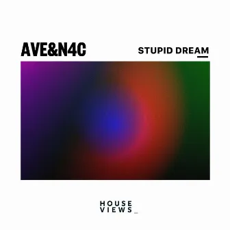 Stupid Dream by AVE