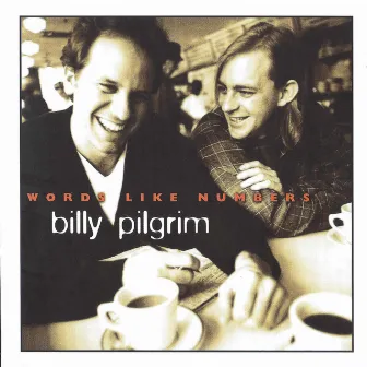 Words Like Numbers by Billy Pilgrim