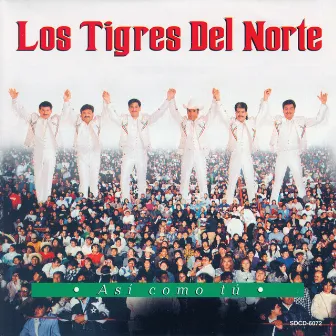 Asi Como Tu by Los Tigres Del Norte