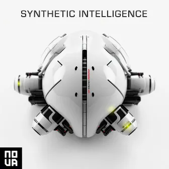 Synthetic Intelligence by David Goldsmith