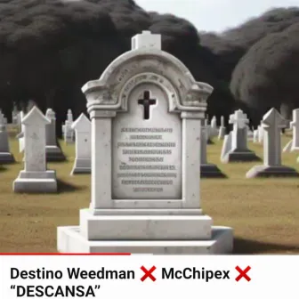 DESCANSA by destino weedman